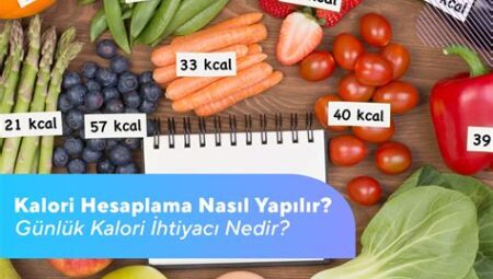 Günlük Kalori İhtiyacı Nasıl Hesaplanır?